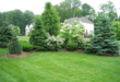 front yard privacy landscaping