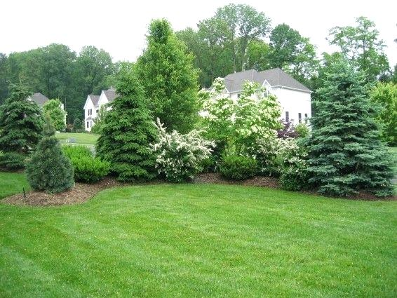 Creating a Private Oasis: Front Yard Privacy Landscaping Ideas