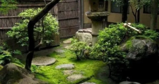 small japanese zen garden