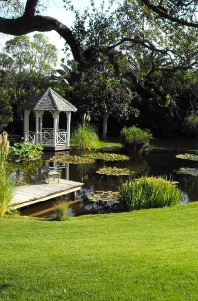 Creating a Serene Oasis: A Guide to Designing Your Backyard Pond