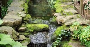 water gardens