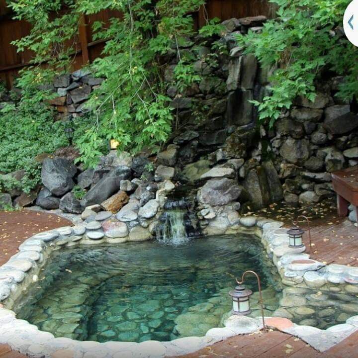 Creating a Serene Oasis: The Beauty of a Backyard Pond