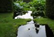 water gardens