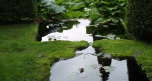 water gardens