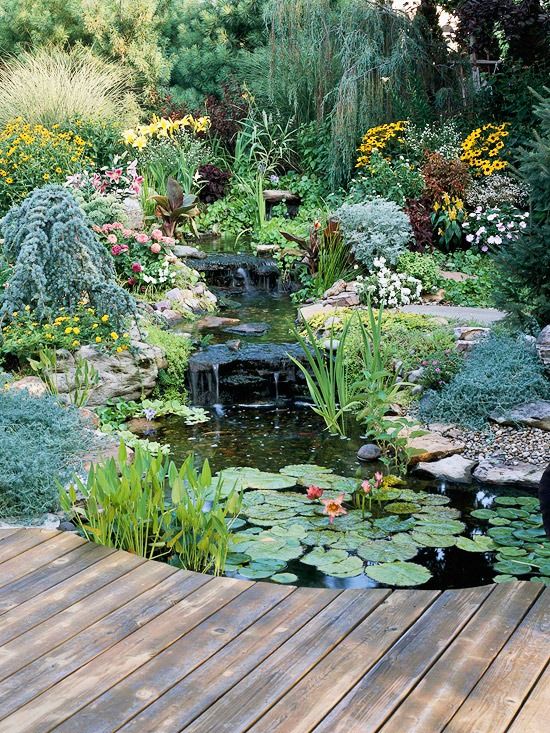 backyard pond