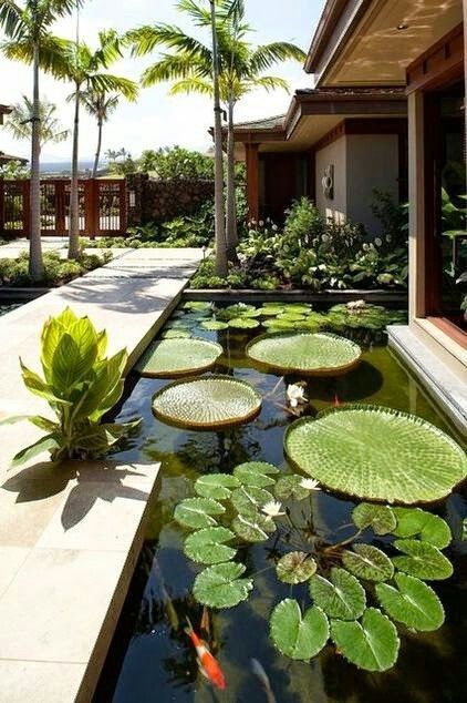 Creating a Soothing Oasis with Water Gardens