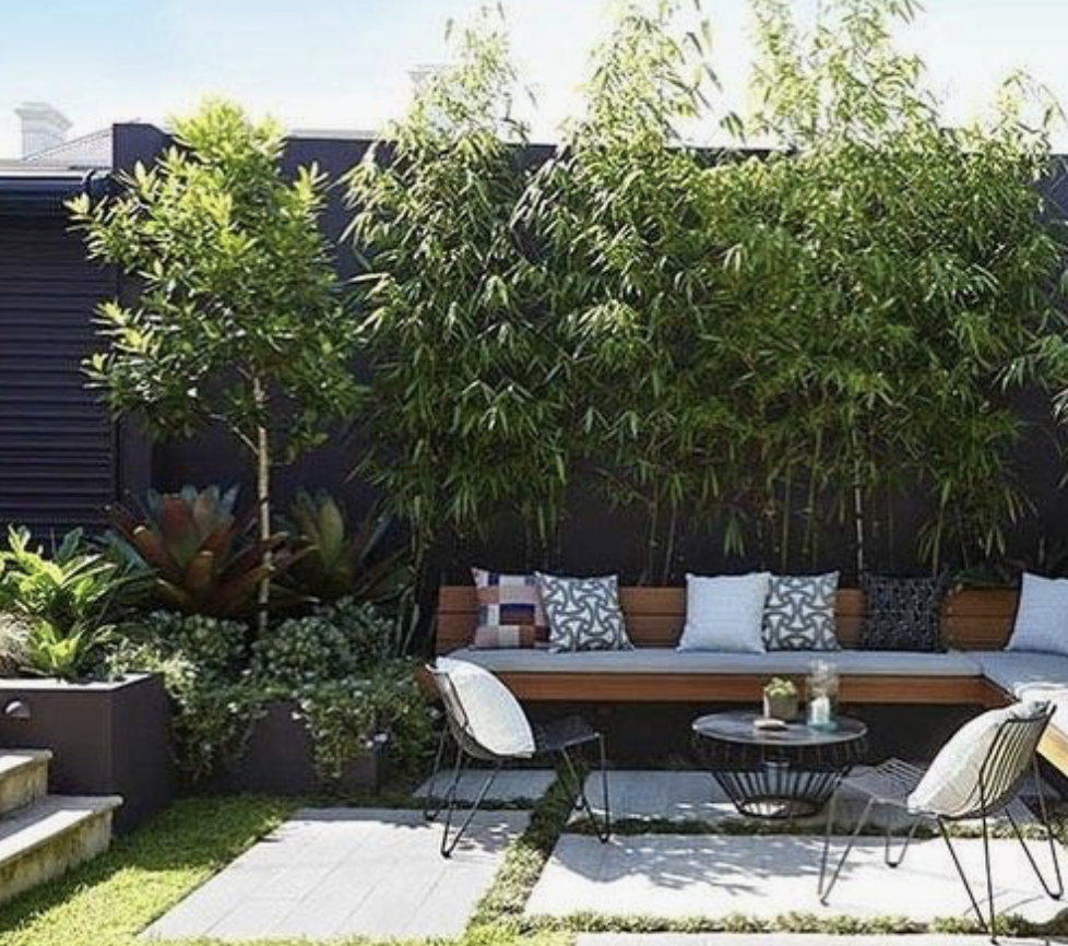 Creating a Stunning Backyard Oasis