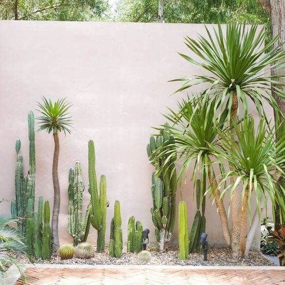 desert landscaping front yard