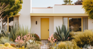 desert landscaping front yard