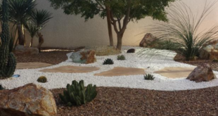 desert landscaping front yard