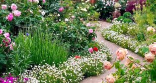 flower garden design