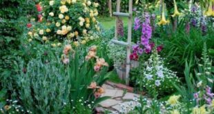 flower garden design