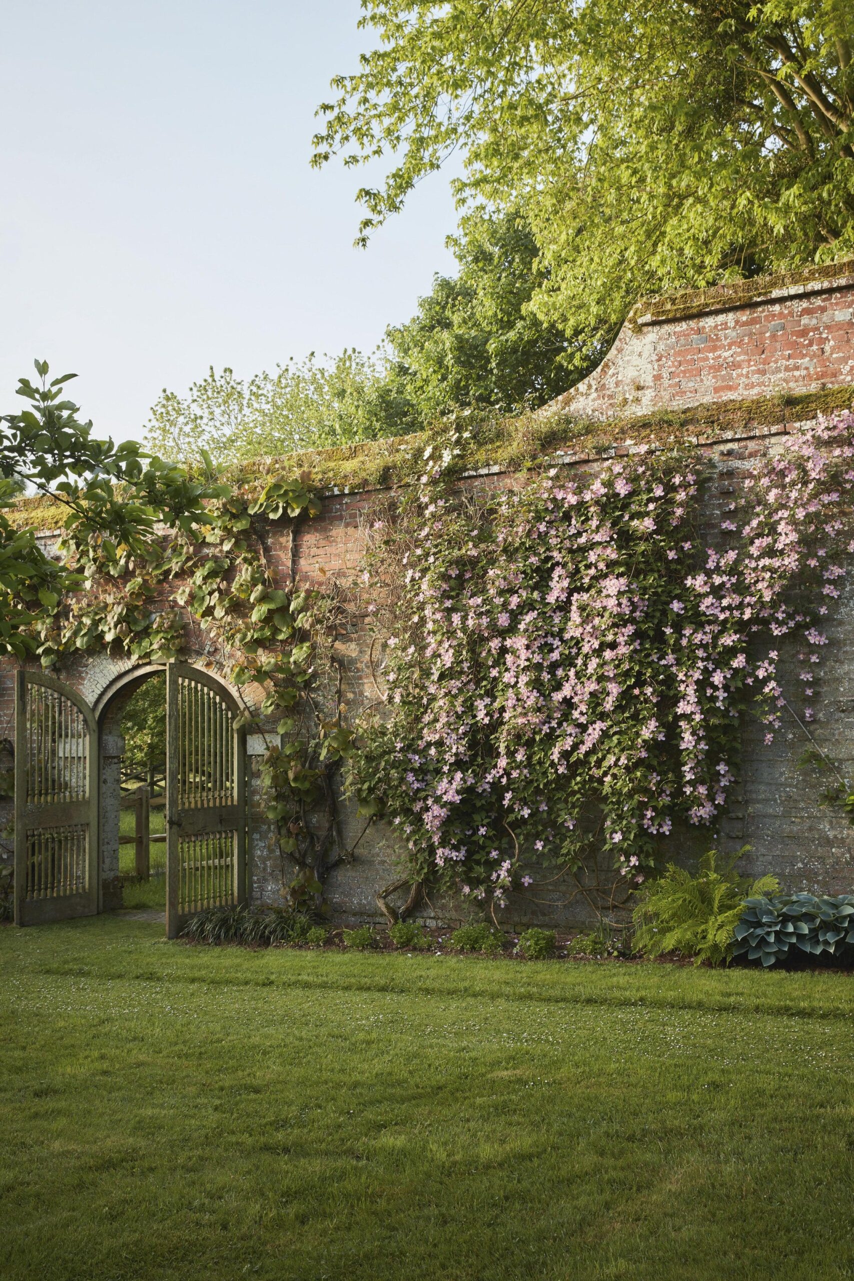 Creating a Stunning Flower Garden Layout