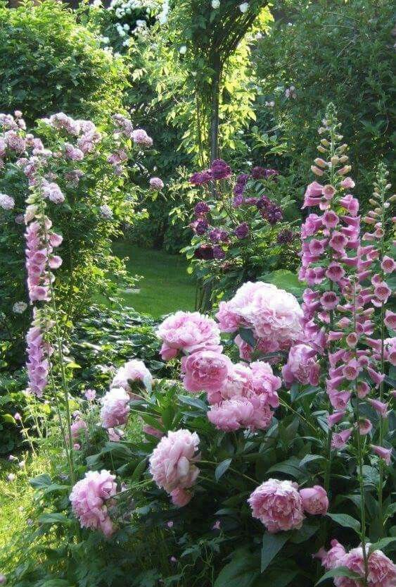 Creating a Stunning Flower Garden: Tips for Beautiful Design