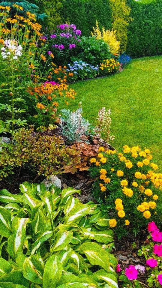 Creating a Stunning Flower Garden: Tips for Designing a Beautiful Outdoor Oasis