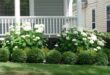 landscaping in front of porch