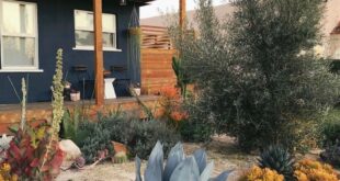 desert landscaping front yard