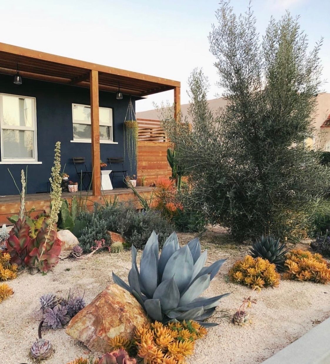 Creating a Stunning Front Yard Landscape with Desert Plants