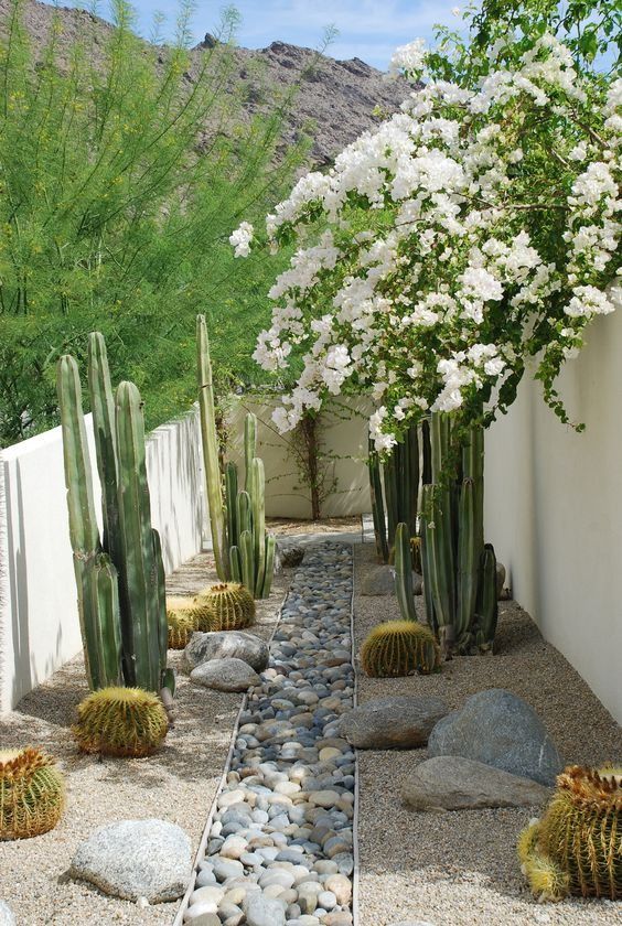 Creating a Stunning Front Yard Oasis with Desert Landscaping