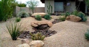 desert landscaping front yard