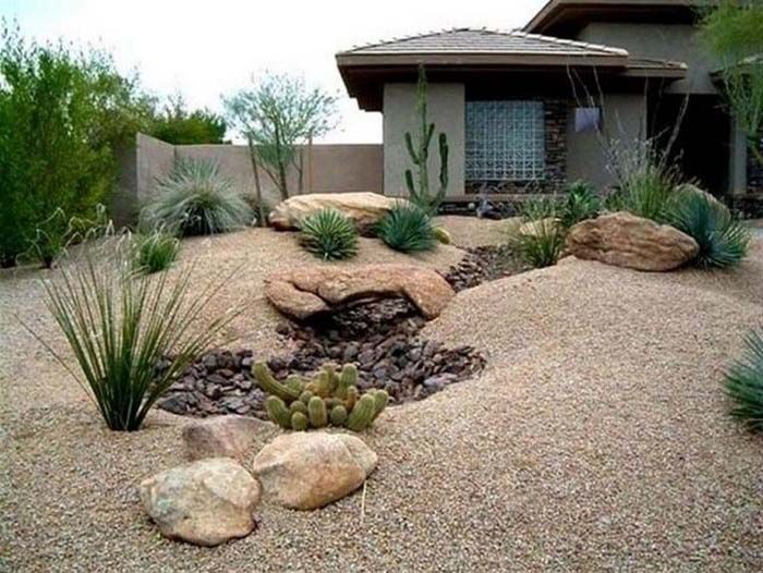 Creating a Stunning Front Yard with Desert Landscaping