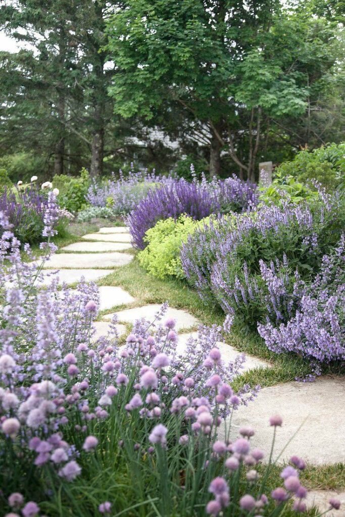 front yard landscaping