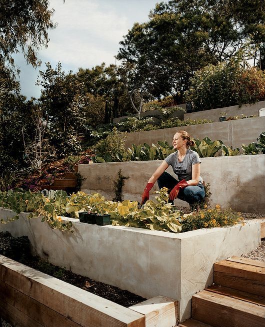 Creating a Stunning Garden Design on a Sloped Terrain