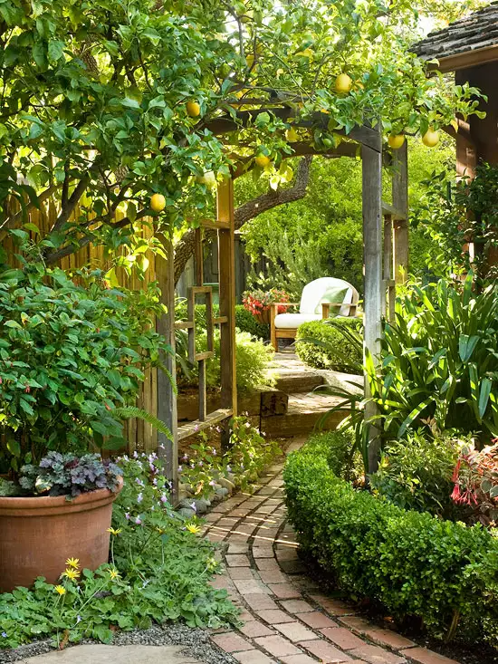 garden landscape