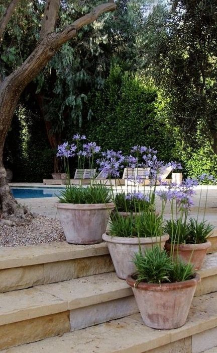 Creating a Stunning Garden Landscape