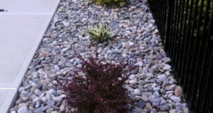 inground pool landscaping