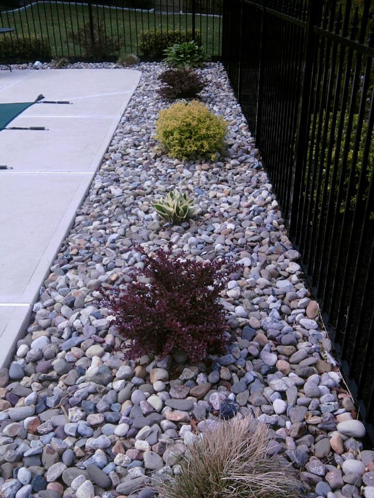 inground pool landscaping