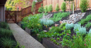 landscaping on a slope