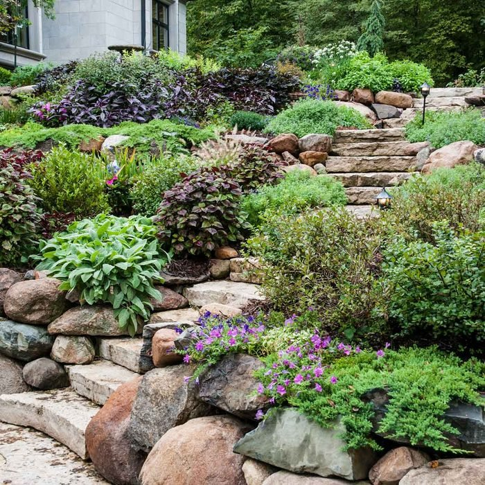 Creating a Stunning Landscape on a Sloped Backyard