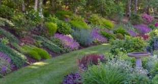 landscaping hillside