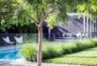 pool landscaping ideas