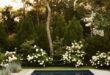 pool landscaping ideas