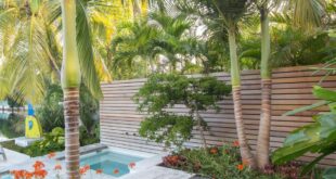 pool landscaping ideas