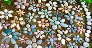 rock garden landscaping