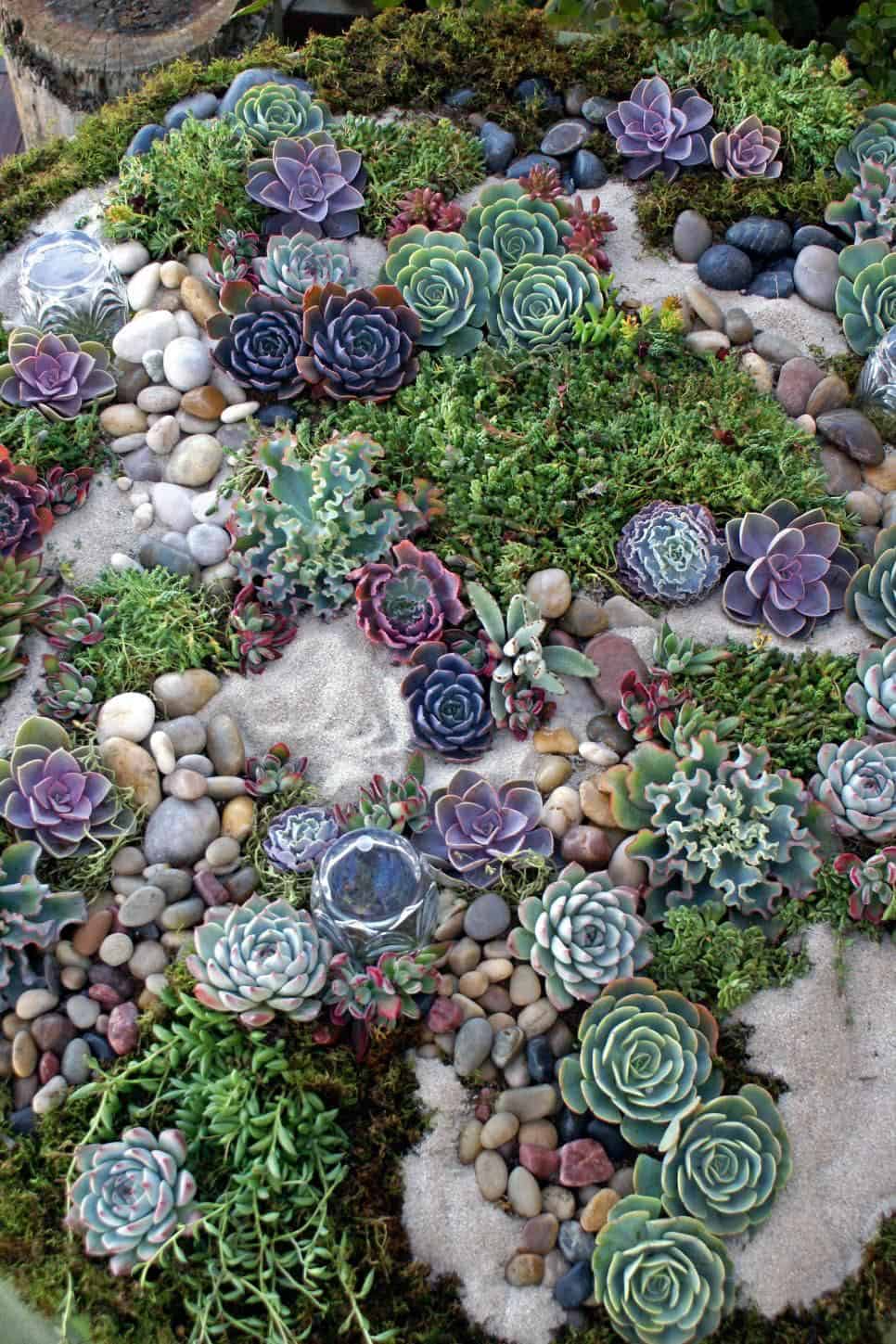 Creating a Stunning Rock Garden Landscape with Natural Beauty