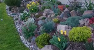 rock garden landscaping