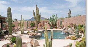 landscaping xeriscape