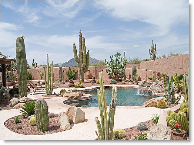 Creating a Sustainable Garden: The Art of Xeriscaping