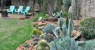 landscaping xeriscape