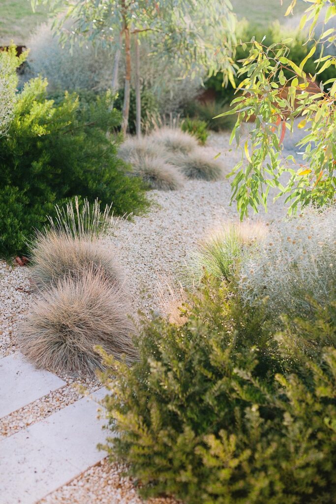 landscaping xeriscape