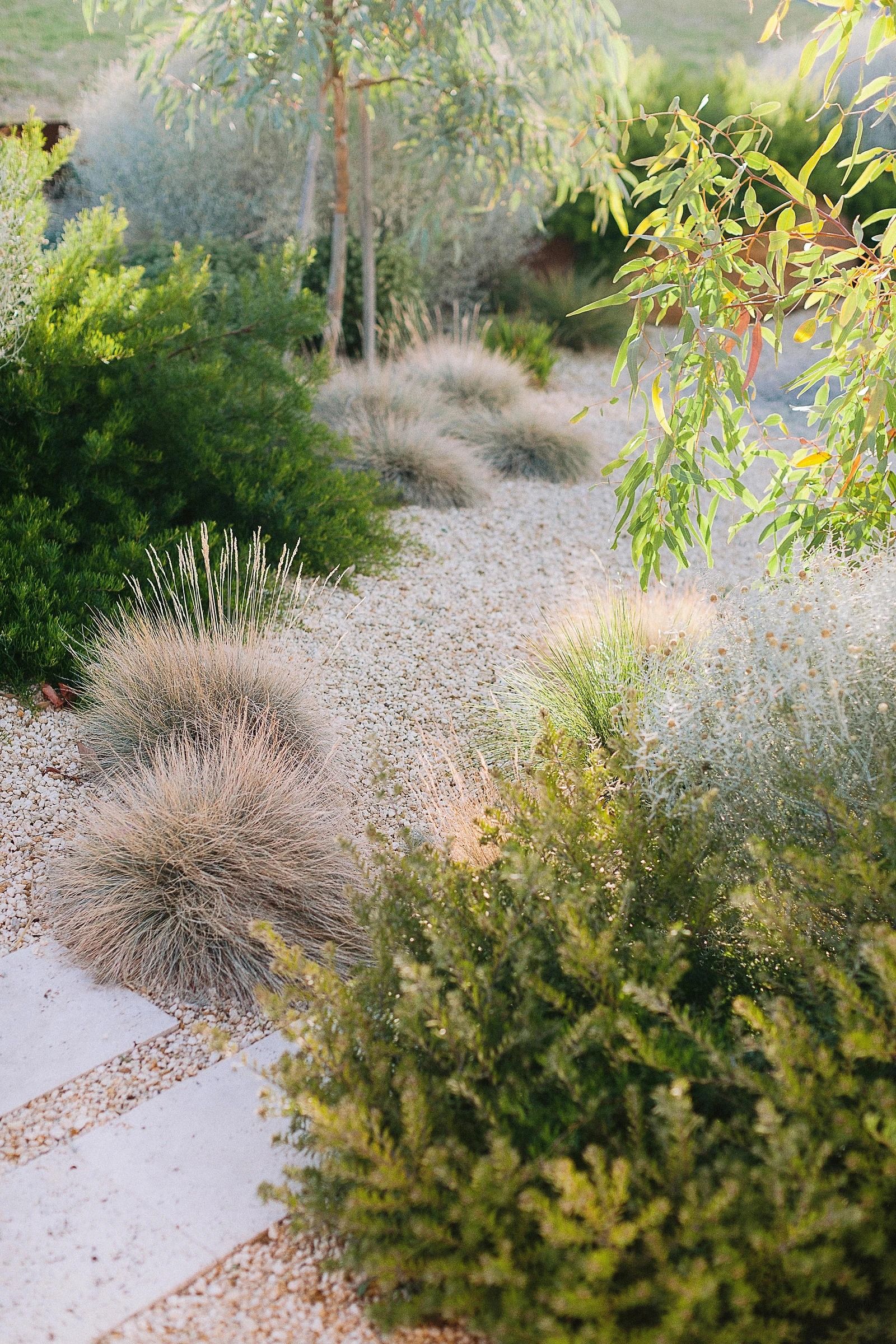 Creating a Sustainable Landscape with Xeriscaping