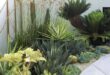 landscaping xeriscape