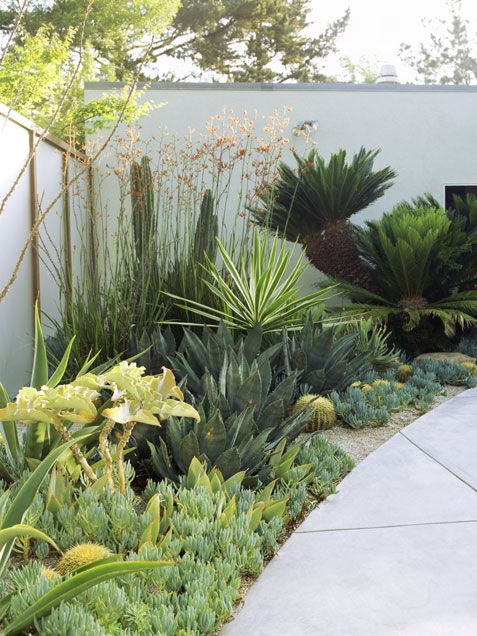 Creating a Sustainable and Beautiful Landscape with Xeriscaping