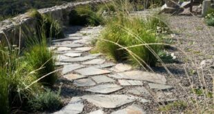 flagstone patio design