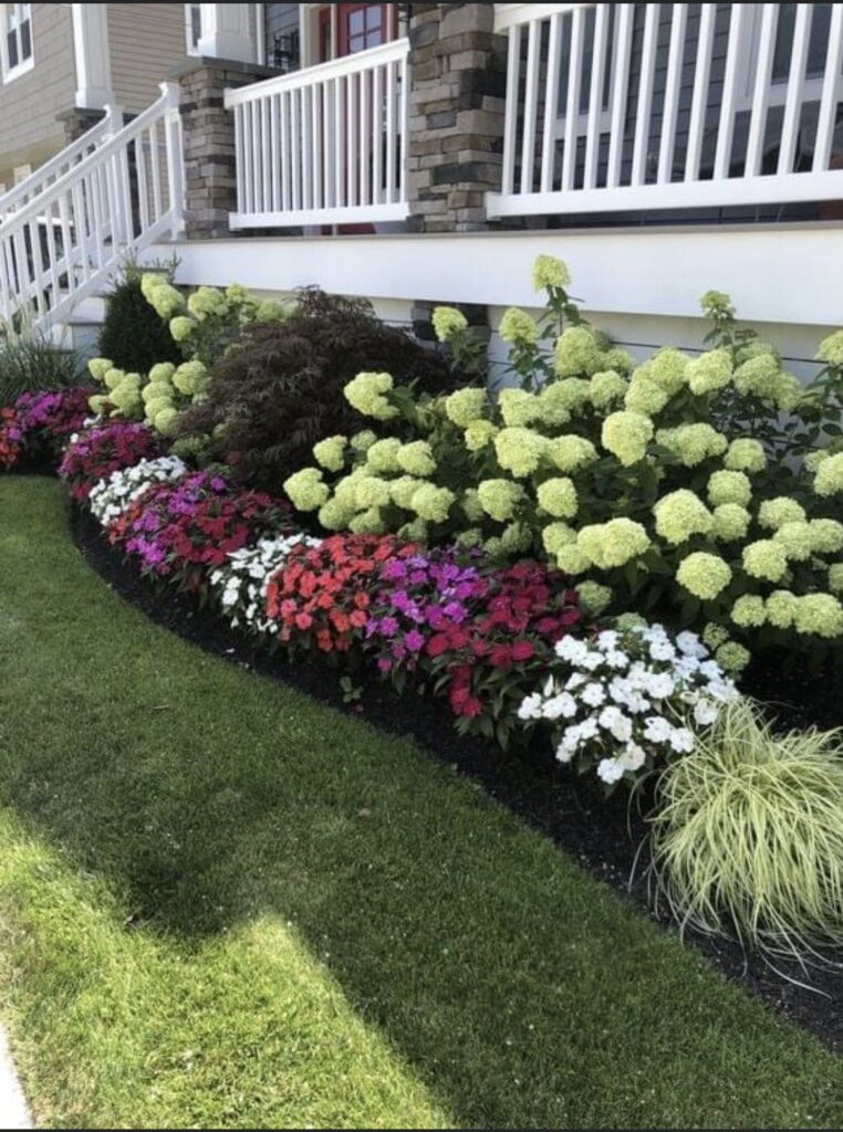 perrenial gardens layout front yards