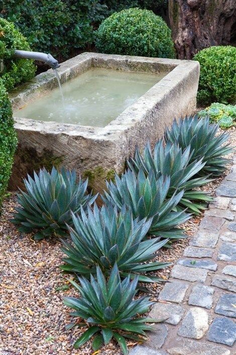 Creating a Tranquil Oasis: A Guide to Adding a Fountain to Your Compact Garden